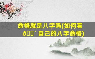 命格就是八字吗(如何看 🌴 自己的八字命格)